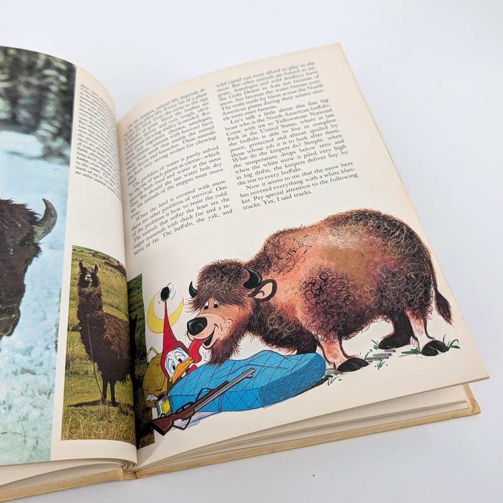 Disney Wonderful World of Knowledge Vol 1 Vintage 1971 Nature Animals Book - Picture 7 of 11